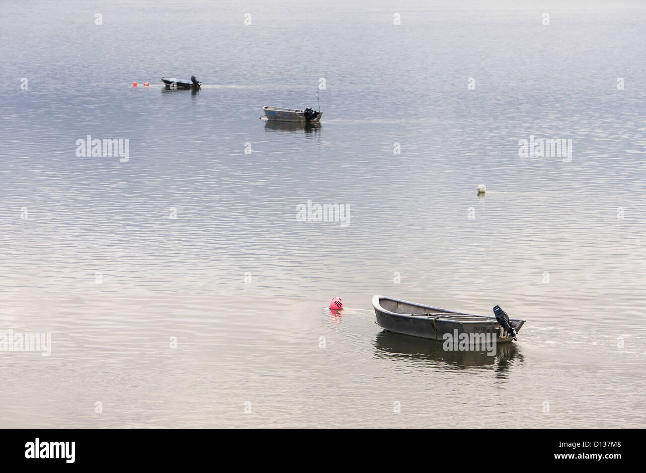 Three skiffs used by commercial salmon fishing sit at anchor in calm water in the