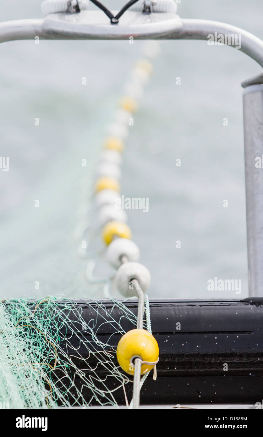 Gillnet hi-res stock photography and images - Page 2 - Alamy