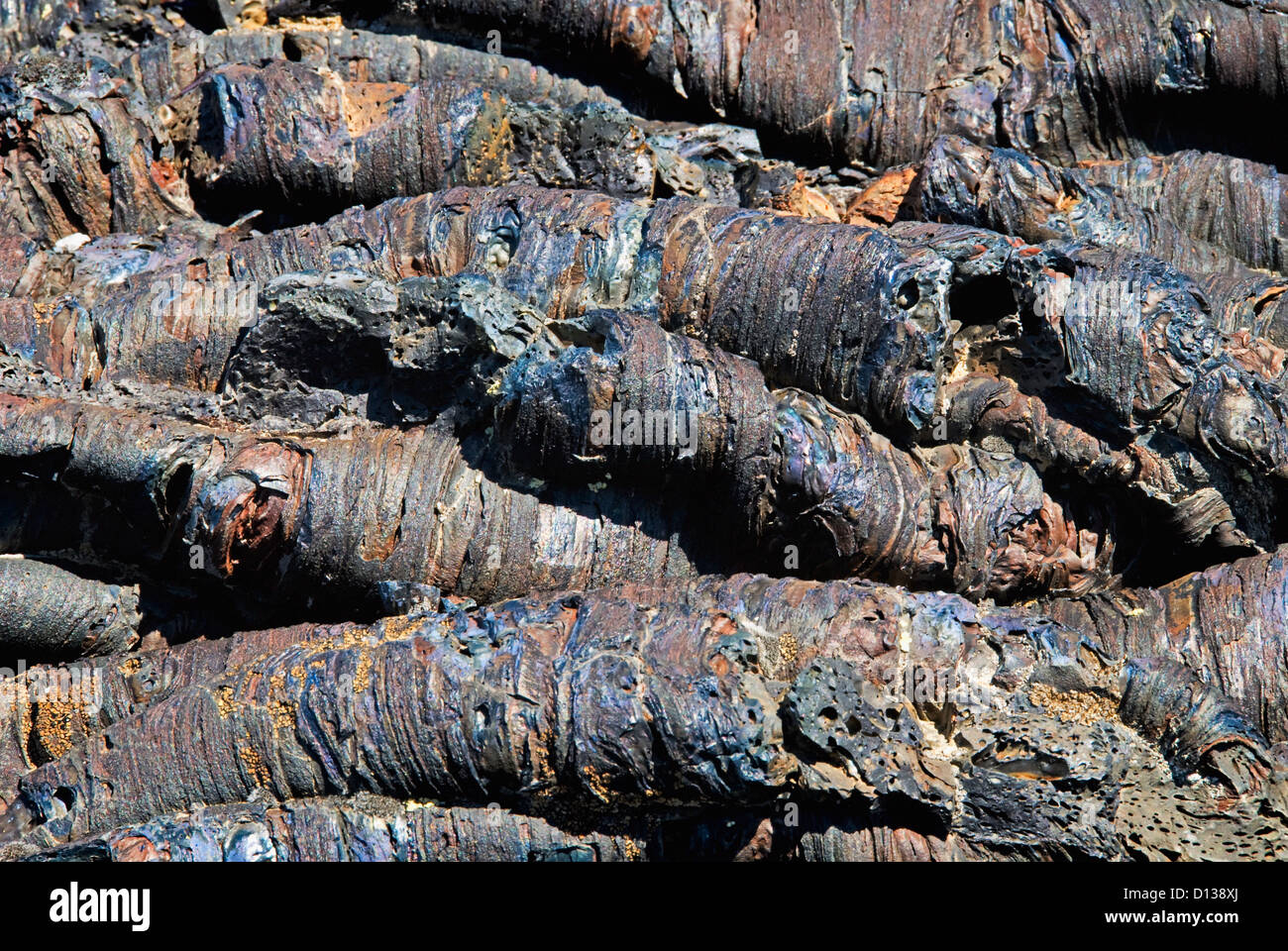 Close Up Of Volcanic Tubes And Blue Lava; Idaho United States Of America Stock Photo