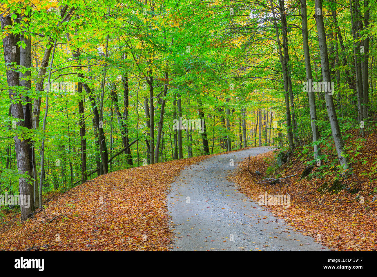 Back roads in Vermont during foliage season. Stock Photo