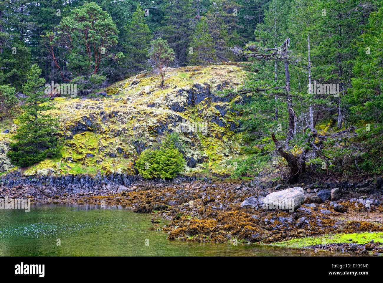 Smugglers Cove Provincial Park, Sechelt,Sunshine Coast, British Columbia,Canada Stock Photo
