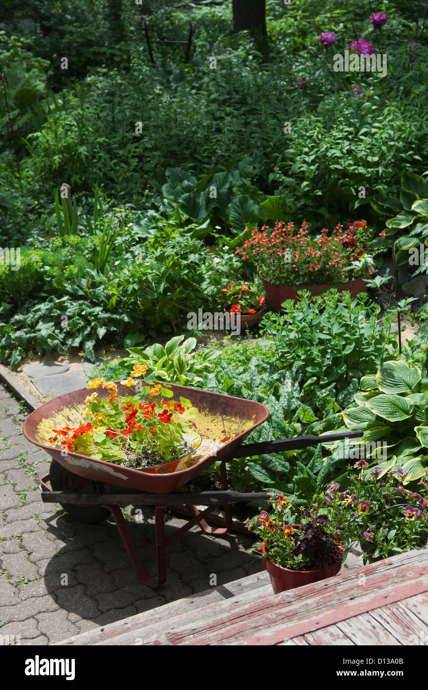 Garden steps wheelbarrow hi-res stock photography and images - Alamy