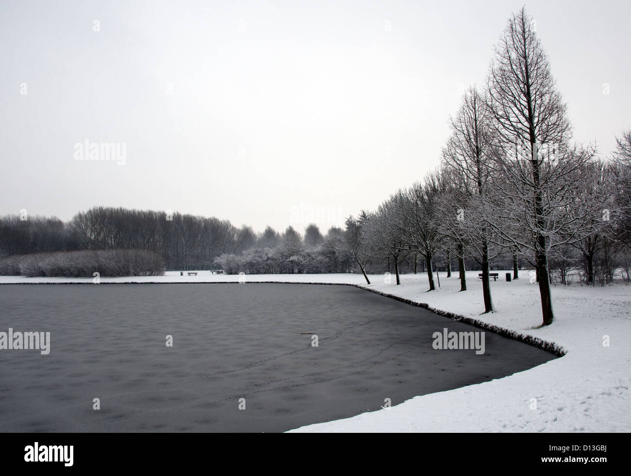 Winter landscape in holland in december Stock Photo - Alamy