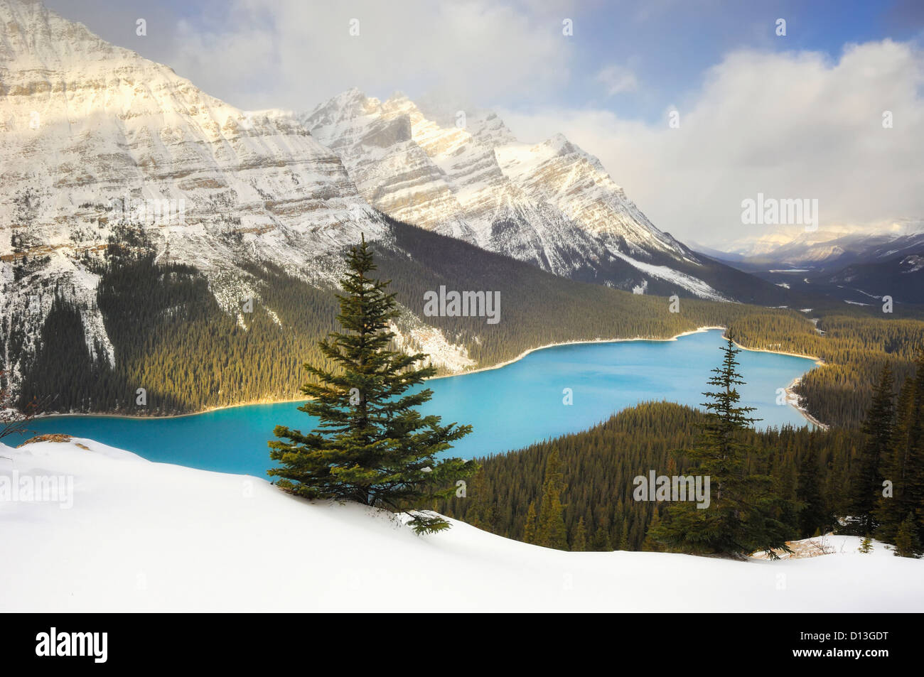 Peyto Lake In Banff National Park; Banff Alberta Canada Stock Photo - Alamy