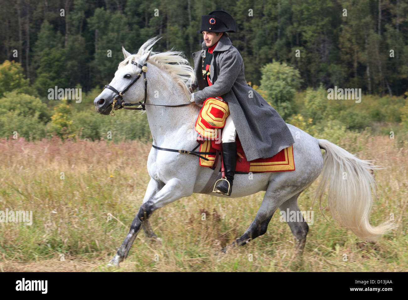 Napoleon Bonaparte riding his beautiful white horse Marengo in Borodino, Russia Stock Photo Alamy Napoleon Bonaparte riding his beautiful white horse Marengo in Borodino, Russia Stock Photo Alamy
