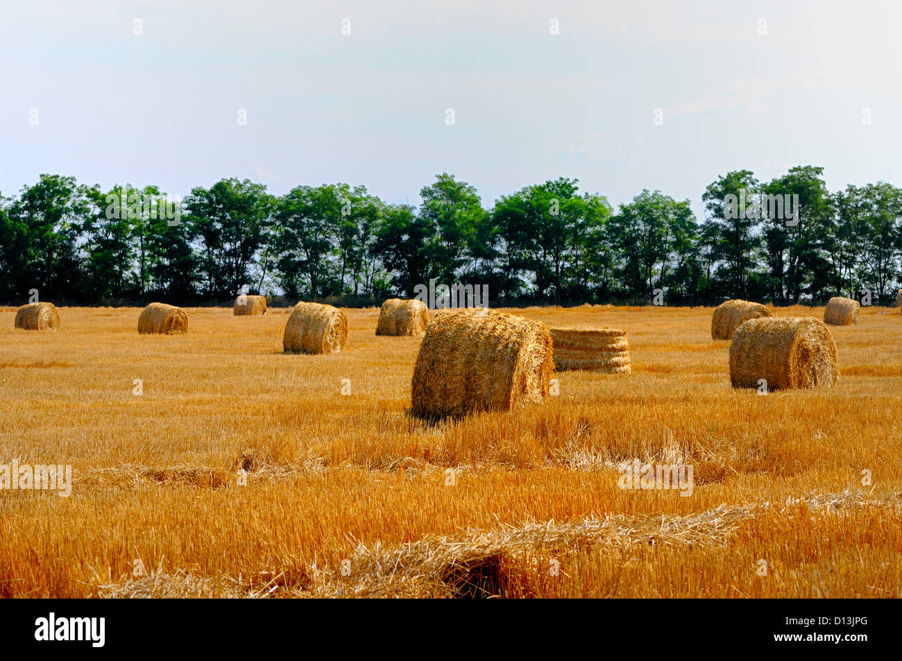 rural landscape with straw rolls Stock Photo - Alamy
