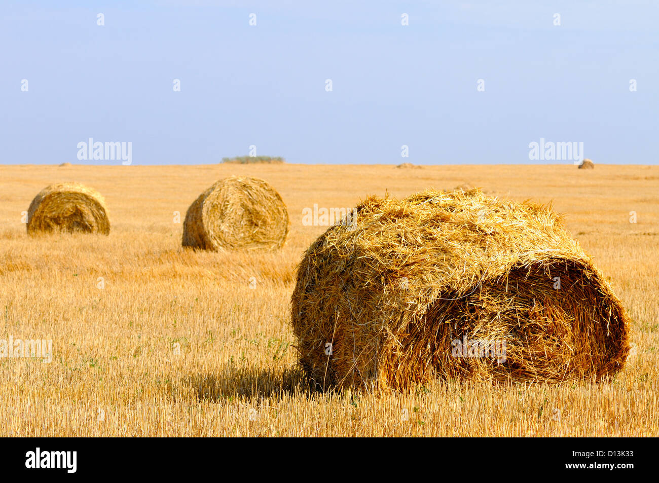 rural landscape with straw rolls Stock Photo - Alamy