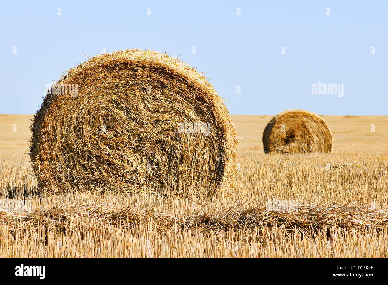 rural landscape with straw rolls Stock Photo - Alamy