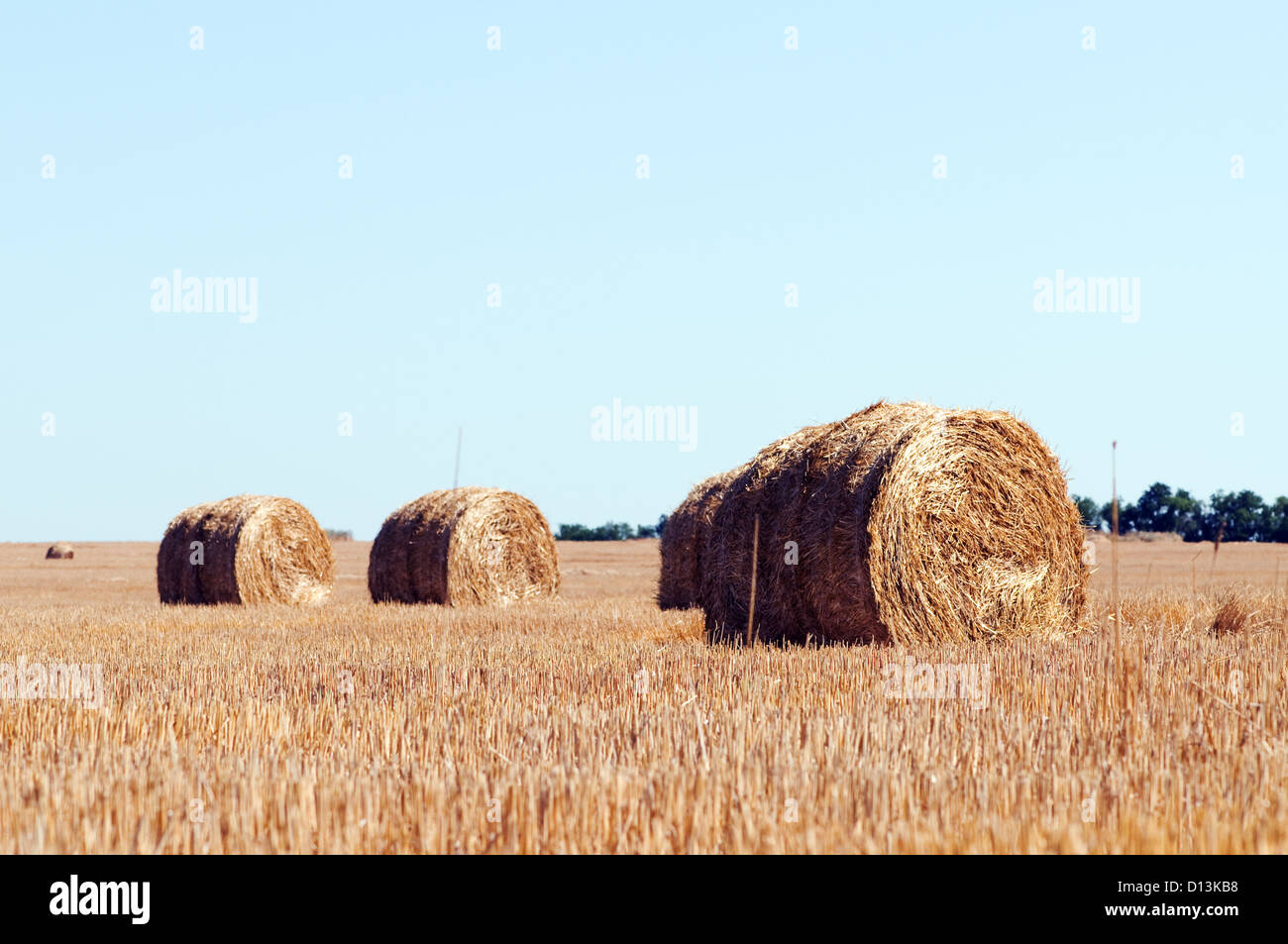 rural landscape with straw rolls Stock Photo - Alamy