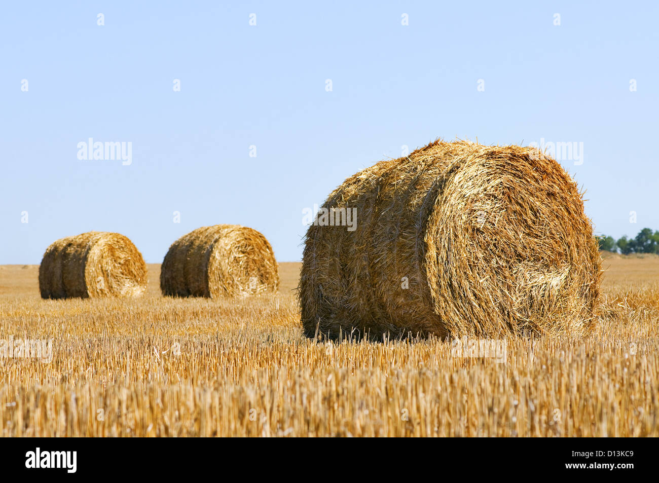 rural landscape with straw rolls Stock Photo - Alamy