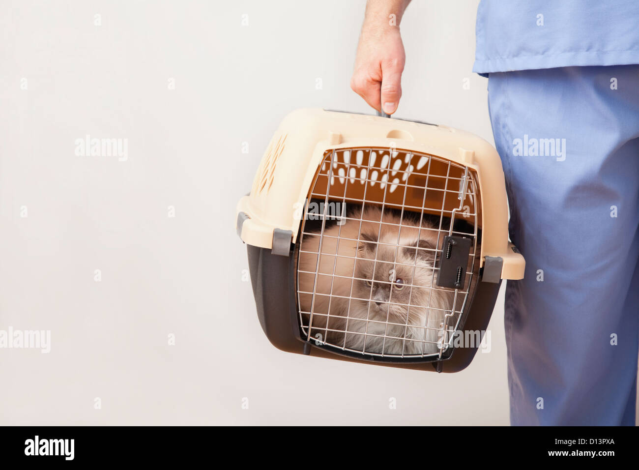 Being carried cat being carried hires stock photography and images Alamy