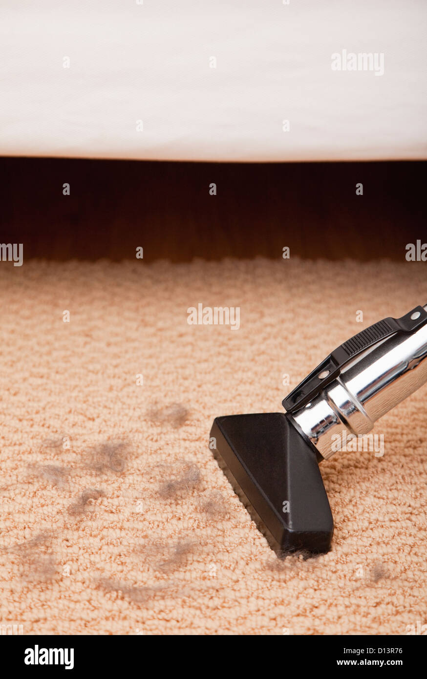 USA, Illinois, Metamora, Vacuuming cat fur Stock Photo Alamy
