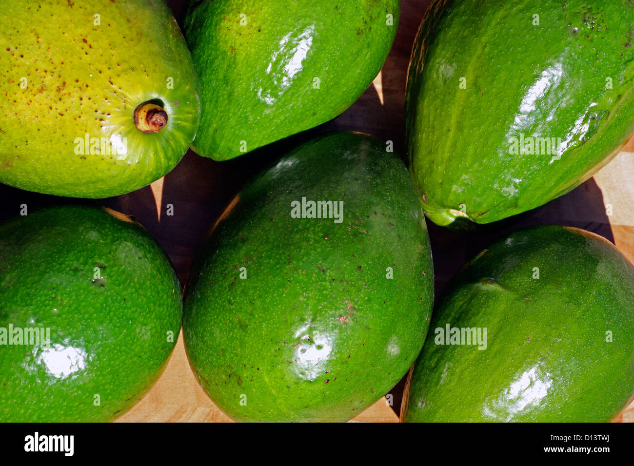 Grenada. Close-up of ripe Avocado fruits. Stock Photo