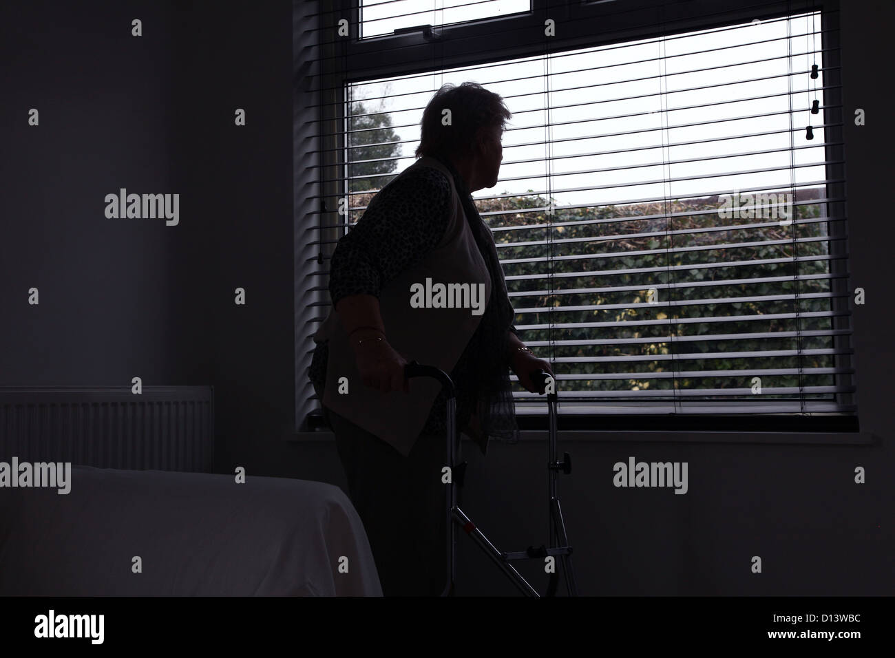 Senior woman alone with a walking frame looking out of a window blind. Rear or side view, silhouette. Stock Photo