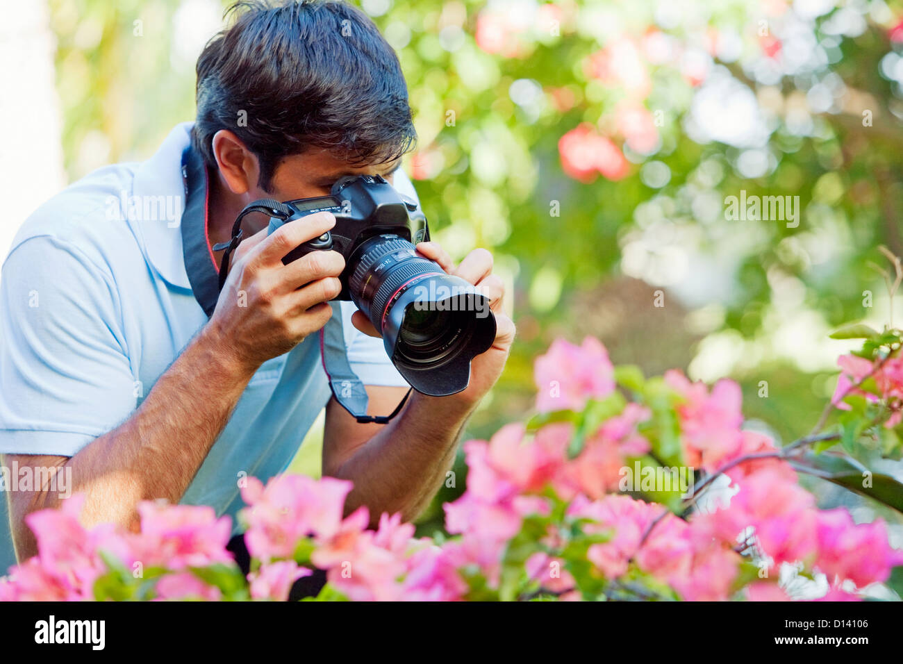 Hawaii, Maui, Male Photographer Taking Pictures Of Bougianvilleas. Stock Photo