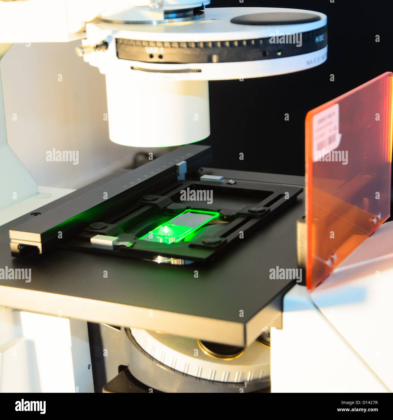 science slide under fluorescent microscope Stock Photo Alamy