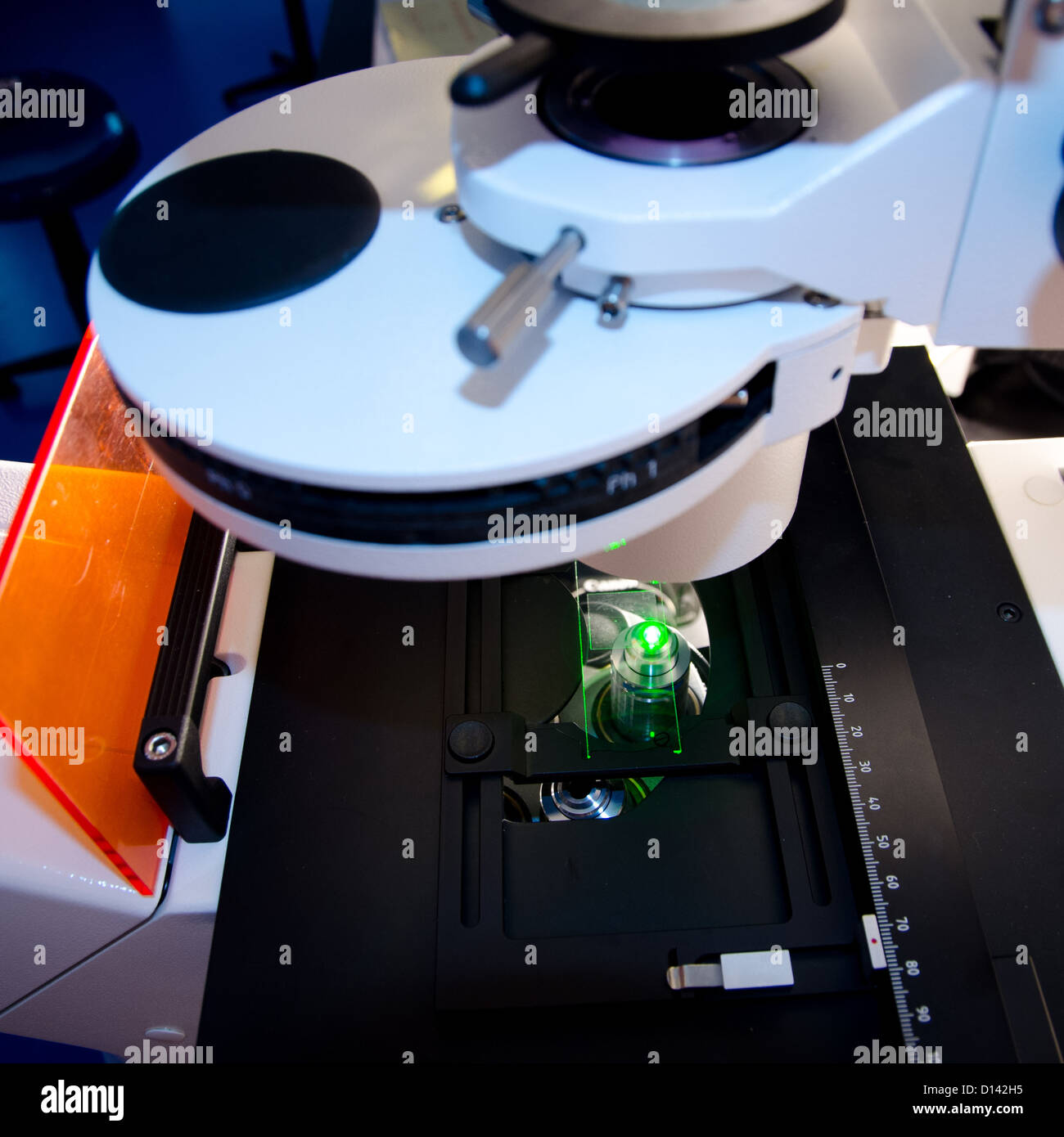 science slide under fluorescent microscope Stock Photo Alamy