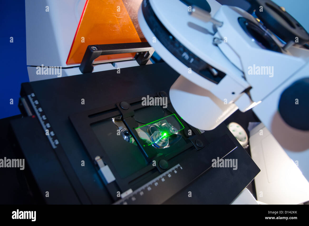 science slide under fluorescent microscope Stock Photo Alamy