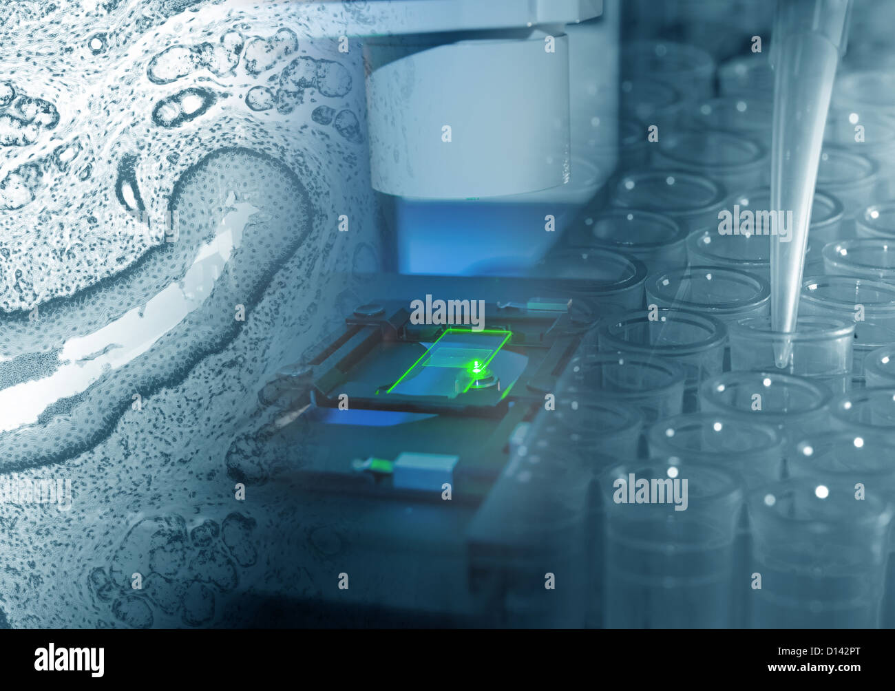 Under the microscope hires stock photography and images Alamy