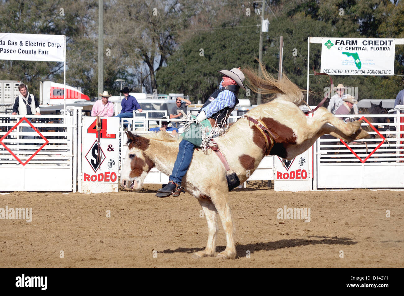 rodeo bronco riding Stock Photo Alamy
