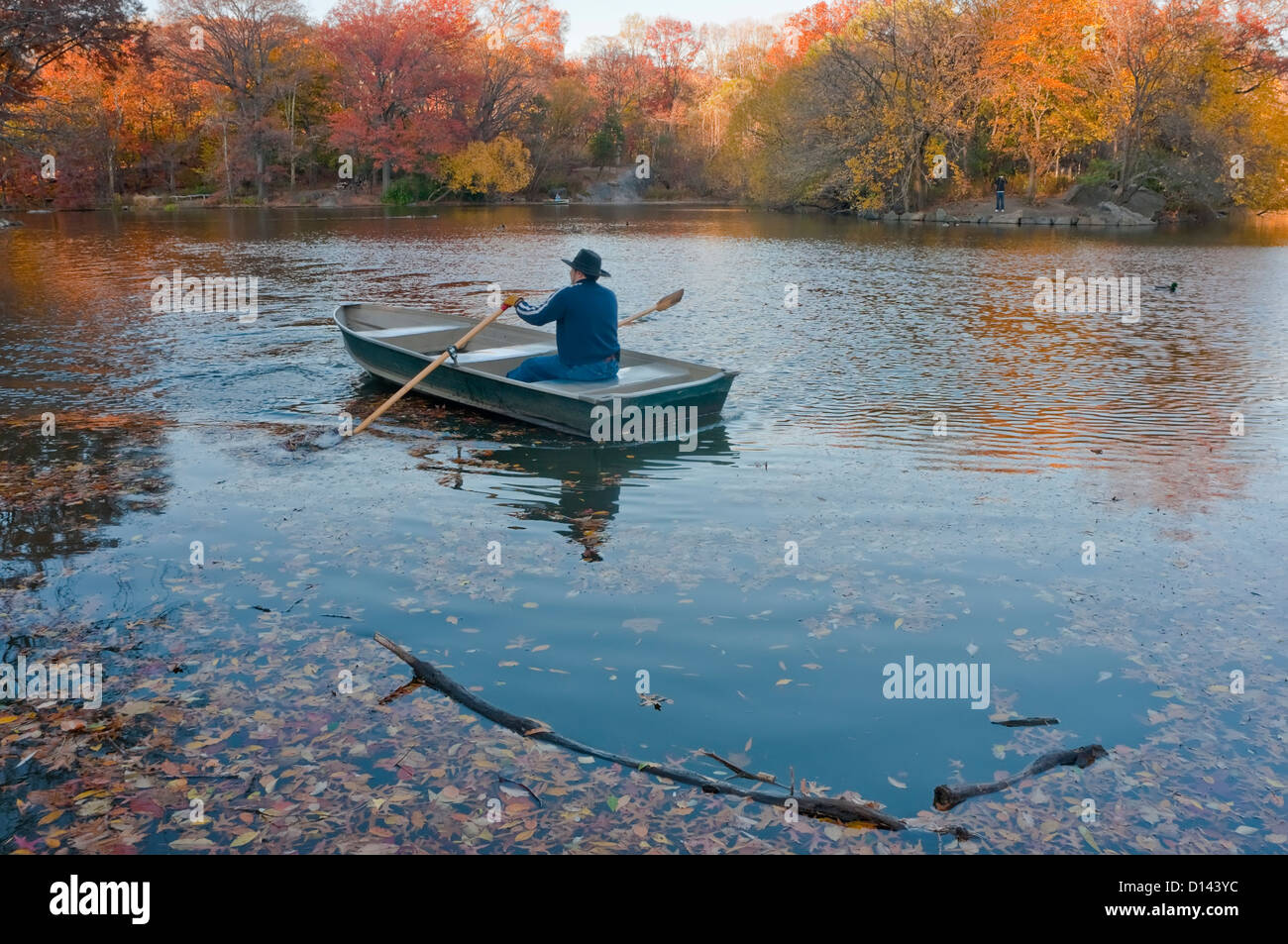New York, NY - 19 November 2010 Man rowing a boat in the lake in Central Park Stock Photo