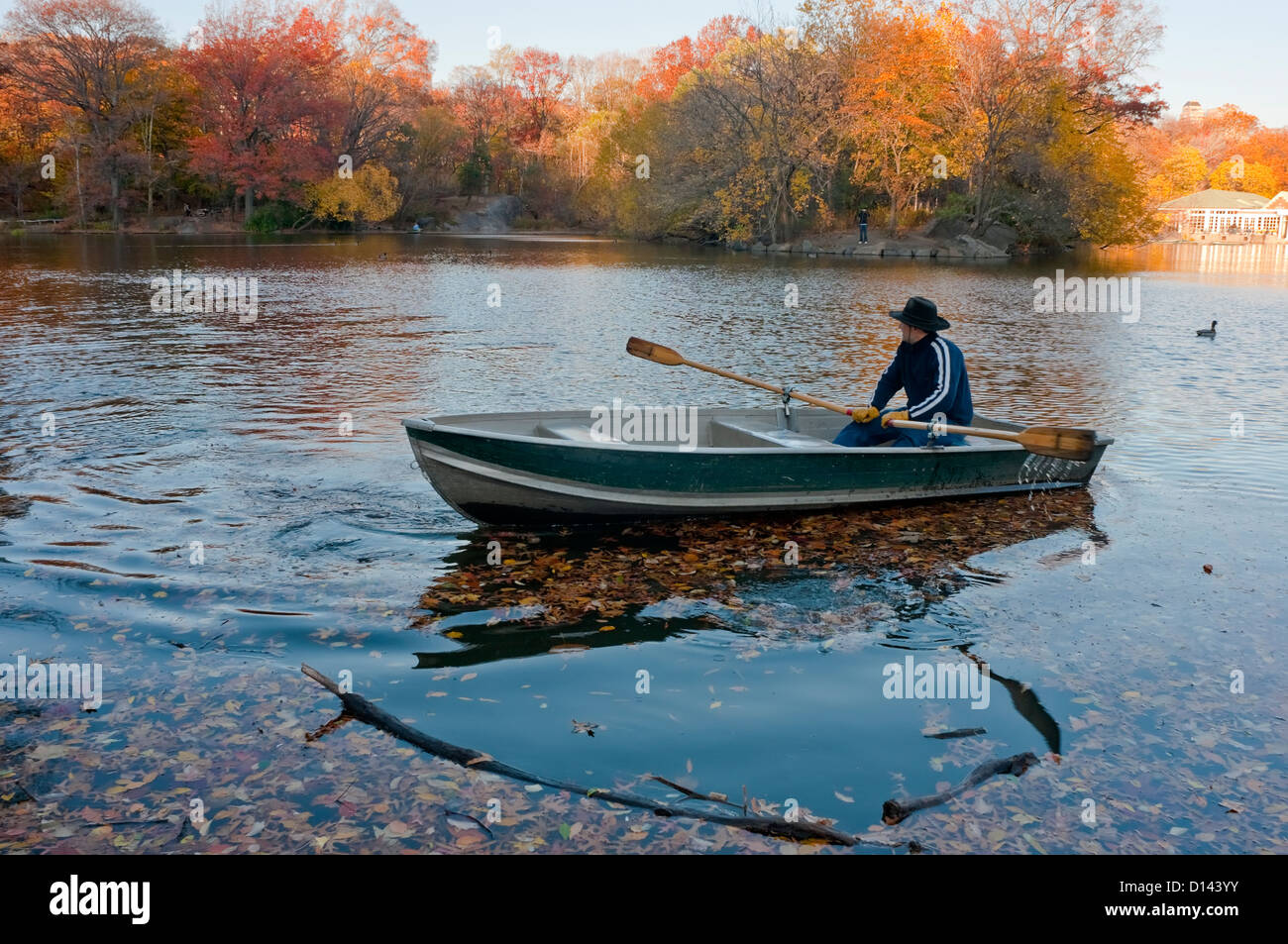 Rowboating hires stock photography and images Alamy