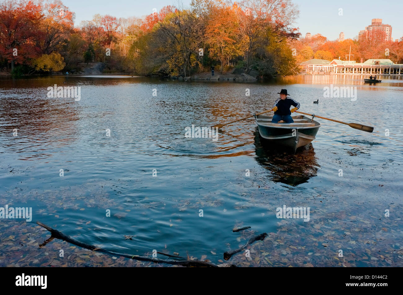 New York, NY 19 November 2010 Man rowing a boat in the lake in Central Park Stock Photo Alamy