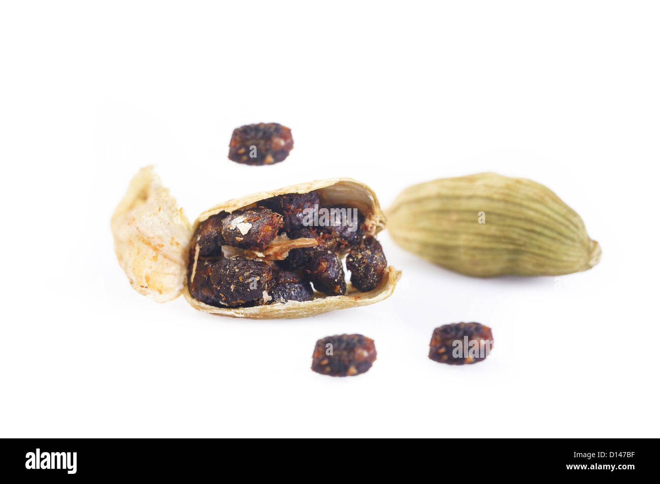 cardamon with cardamon seeds Stock Photo Alamy