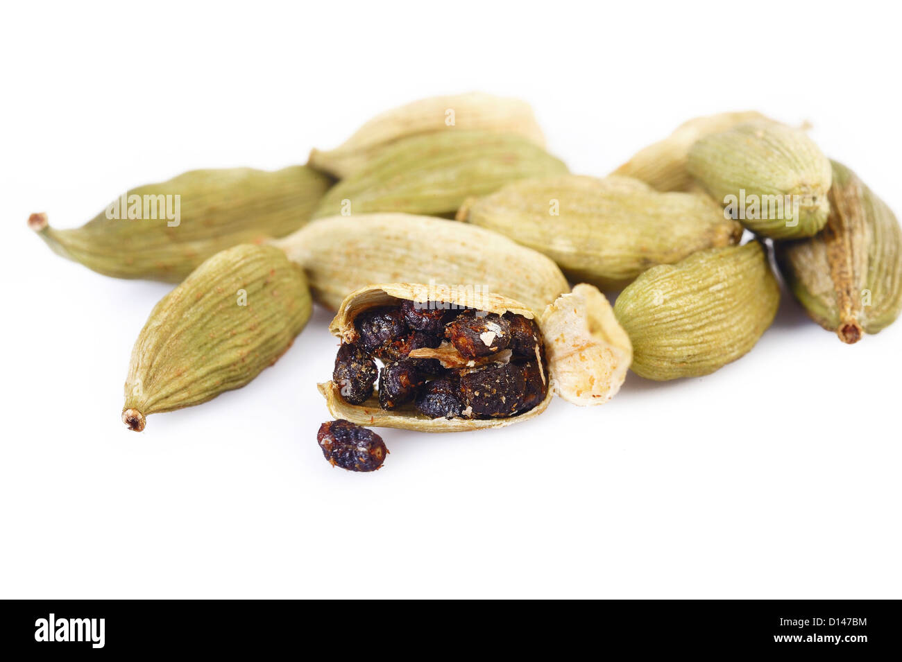 cardamon with cardamon seeds Stock Photo Alamy