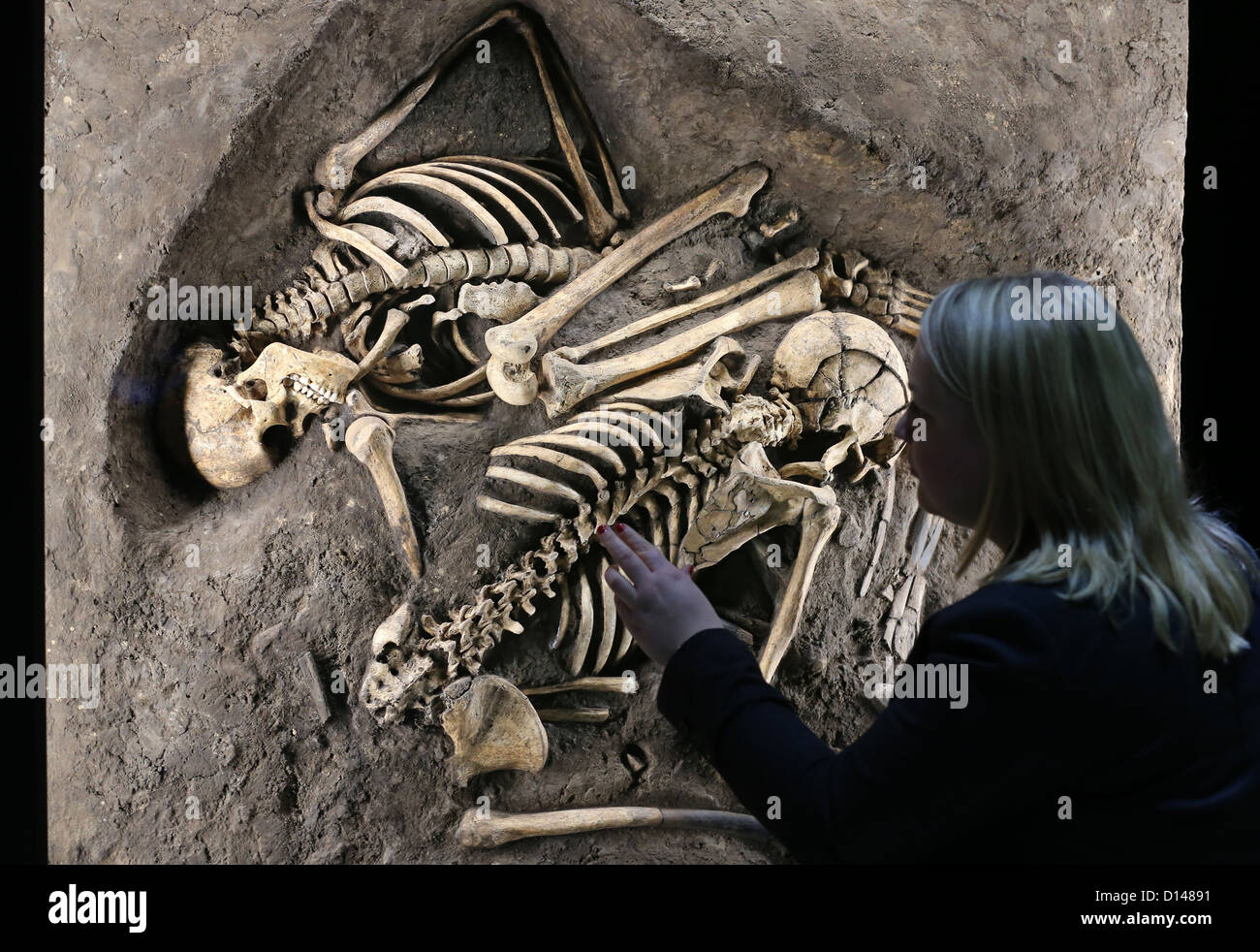 A young woman looks at double grave discovery from the 12th-9th century BC at the State Museum of Prehistory in Halle, Germany, 06 December 2012. The discovery in the Saale district is only one of 7,000 pieces that will be displayed from now on in the permanent exhibition. Photo: JAN WOITAS Stock Photo