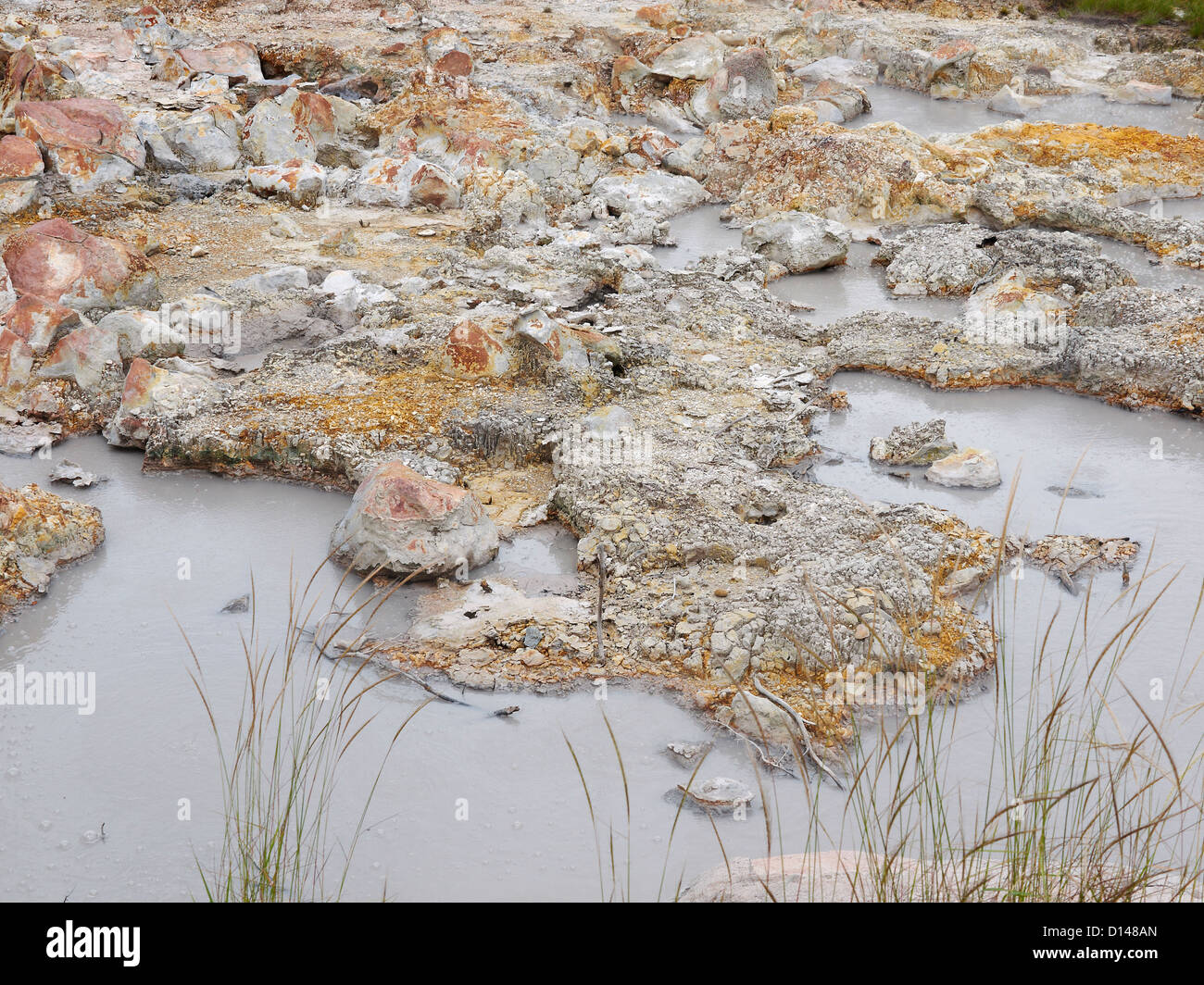 volcanic mineral mud wholes; hot; sulphurous; Las Pailas; Ricòn de la Vieja National Park Stock Photo