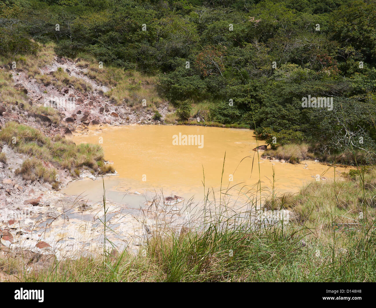 volcanic mineral mud wholes; hot; sulphurous; Las Pailas; Ricòn de la Vieja National Park Stock Photo