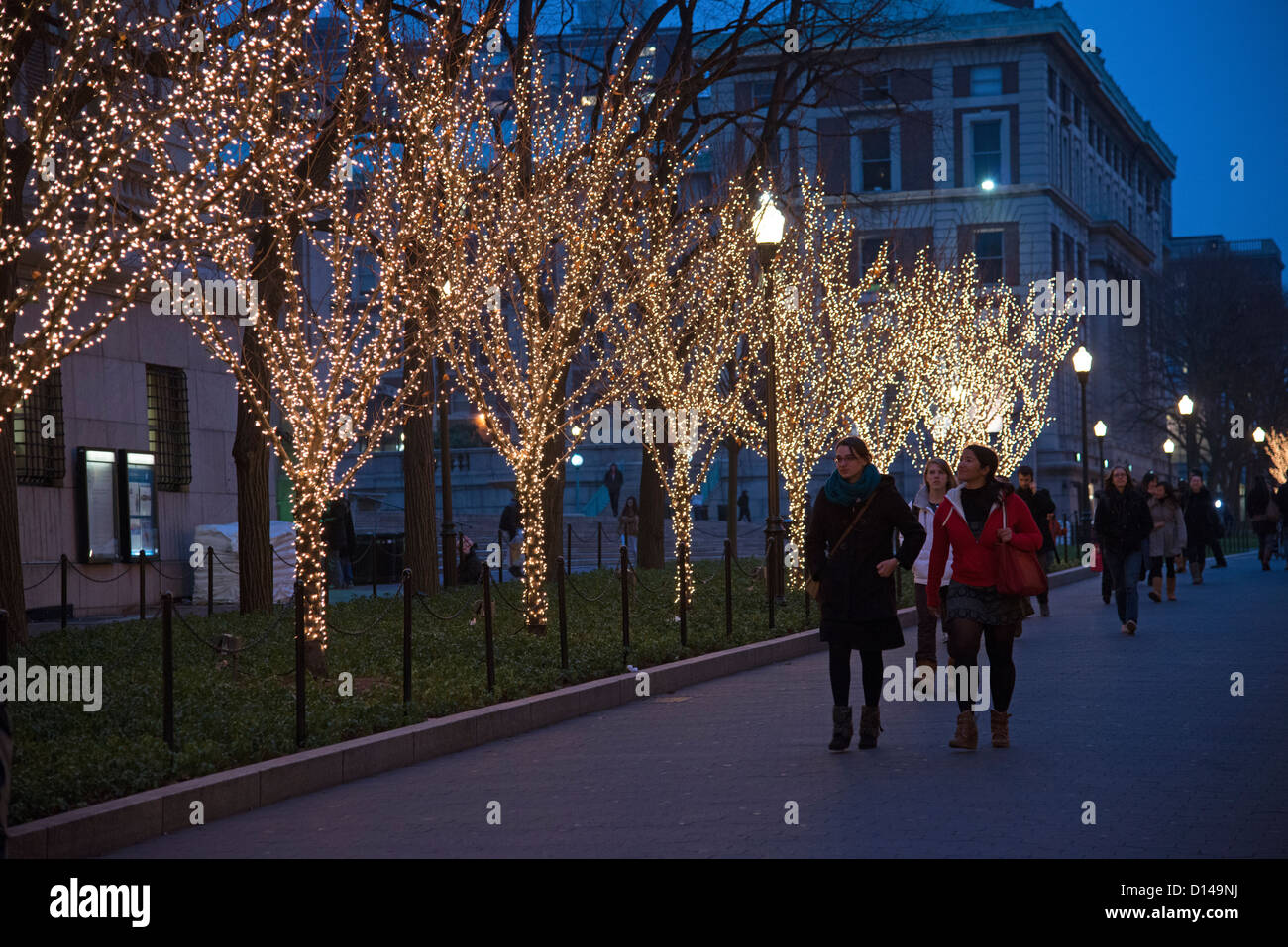 May tree Christmas lights on the campus at Columbia University