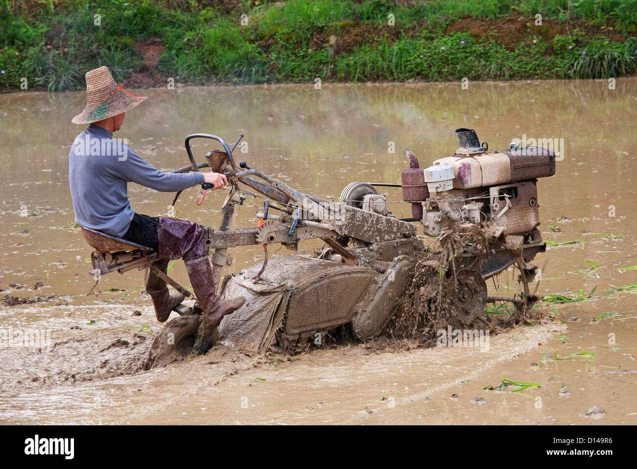 Chinese farmer working with a motorized plow in a rice field in