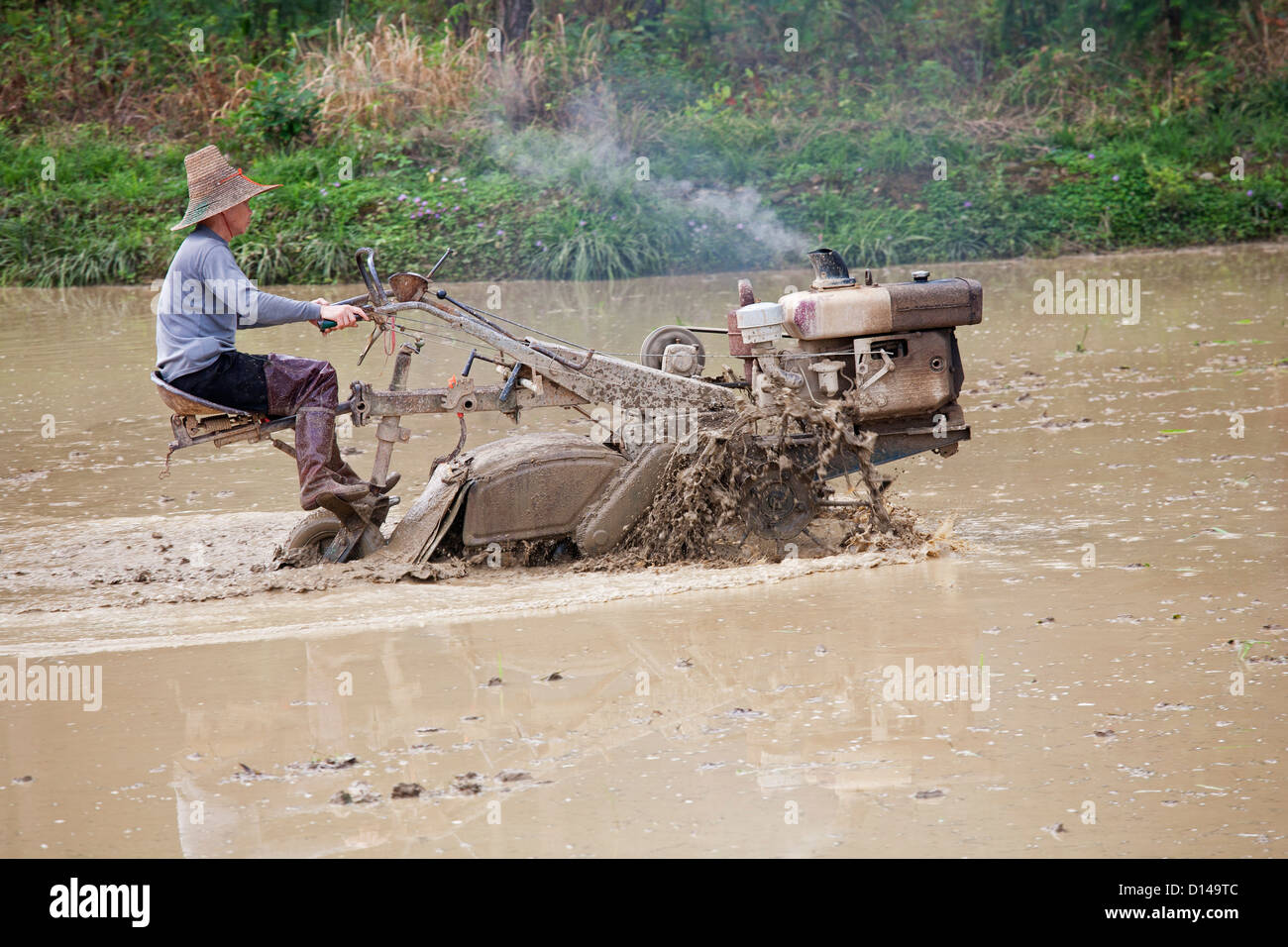 Plowing Rice Field High Resolution Stock Photography and Images Alamy