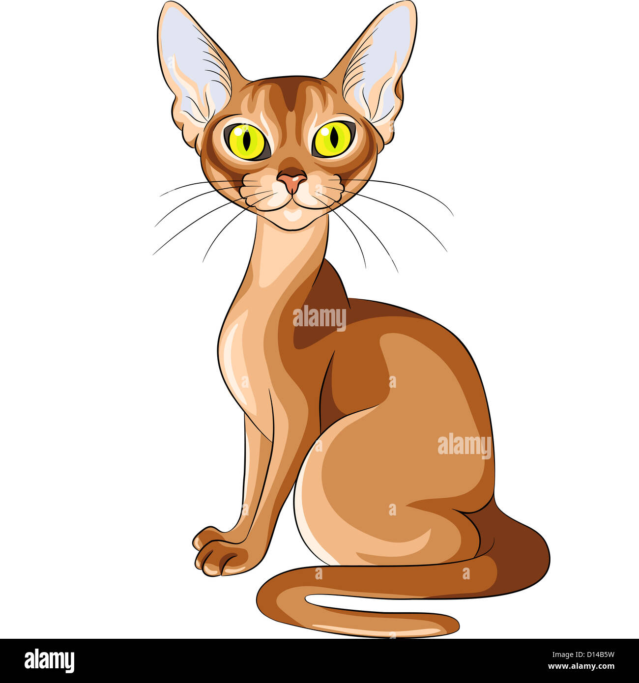 vector color sketch of the red cat Abyssinian breed with flashing amber ...