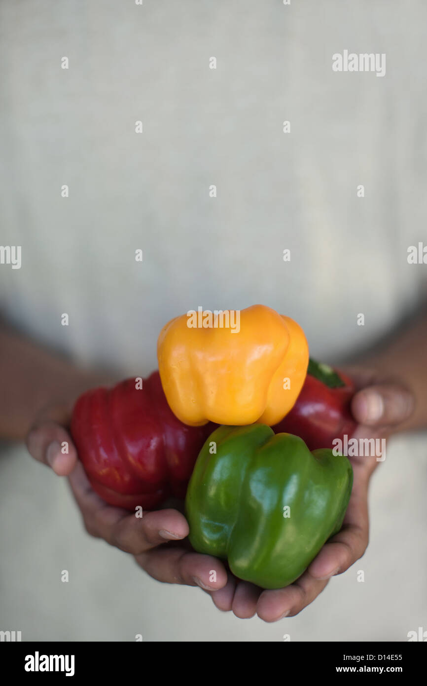 Close up of hands holding bell peppers Stock Photo Alamy