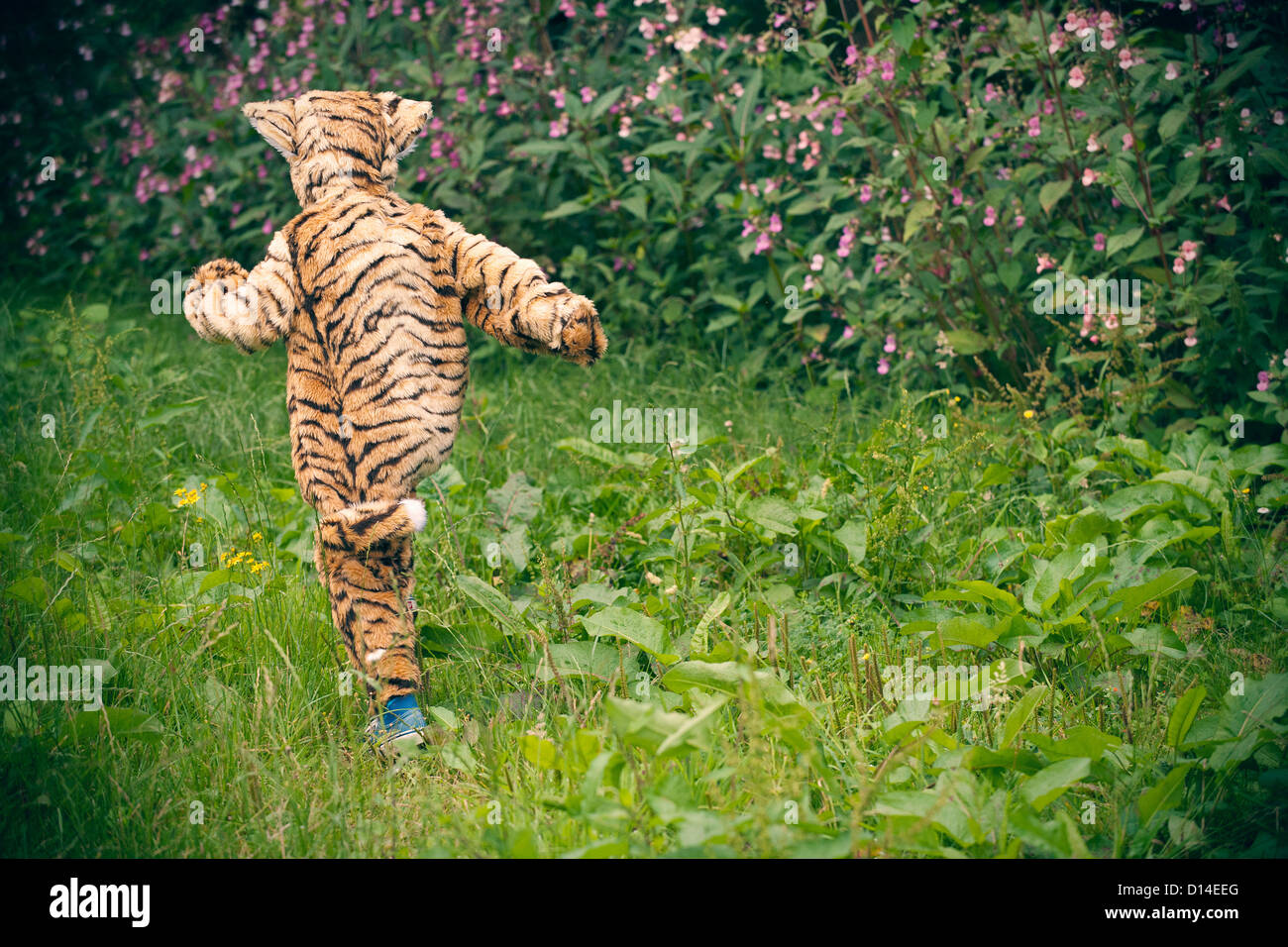 Boy wearing tiger costume outdoors Stock Photo Alamy