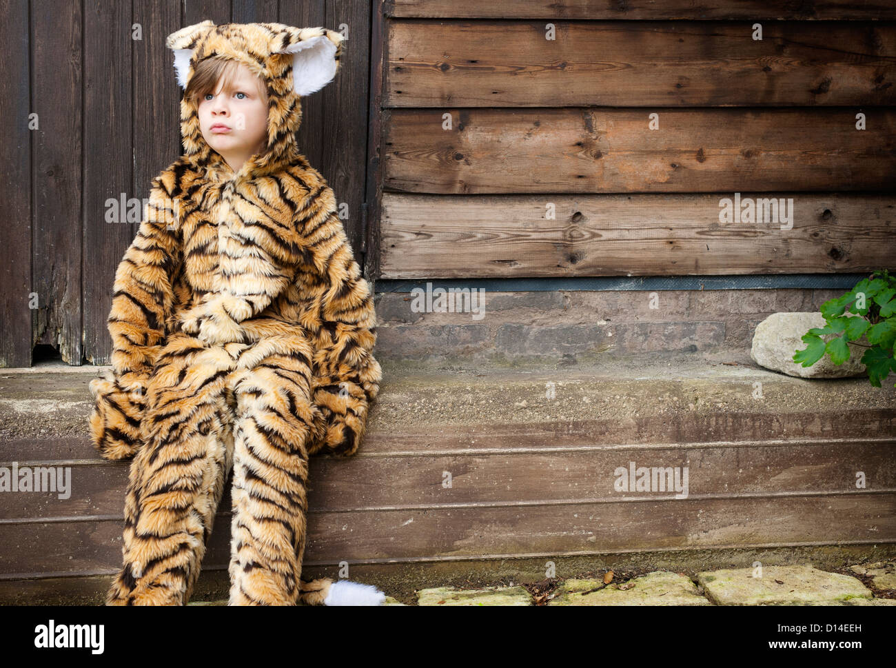 Boy wearing tiger costume outdoors Stock Photo Alamy