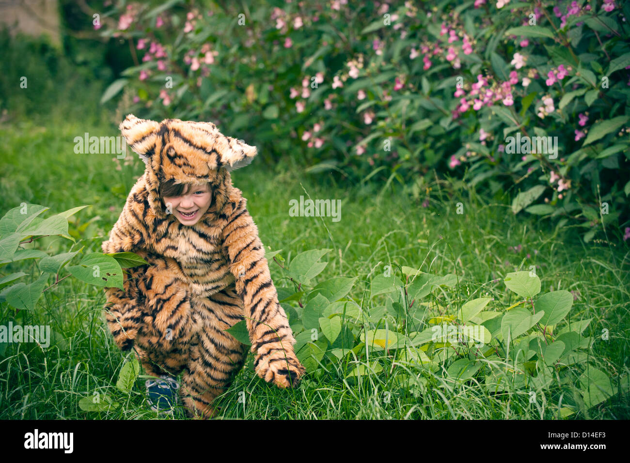 Boy wearing tiger costume outdoors Stock Photo Alamy