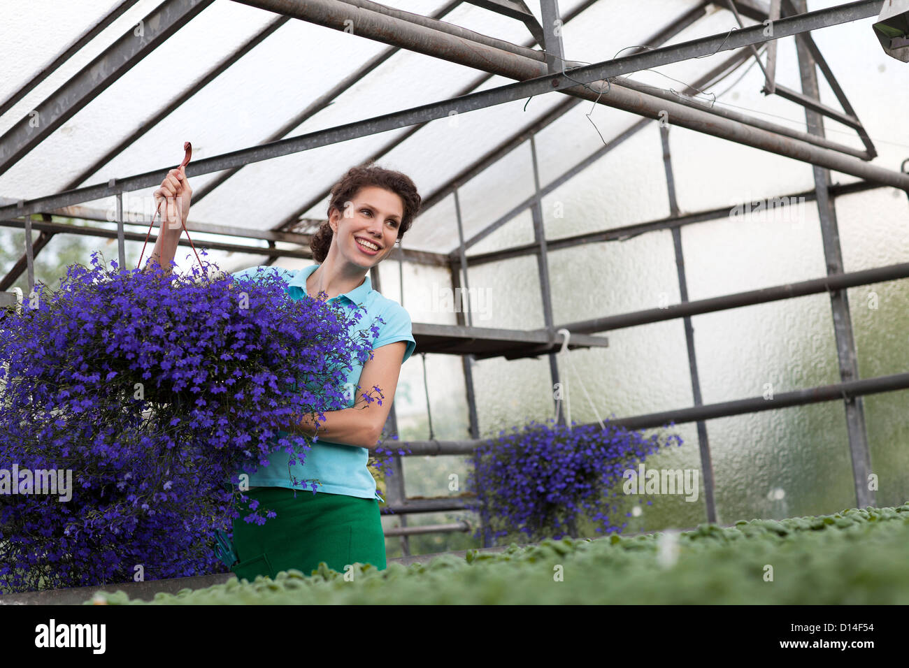 young woman working in greenhouse Stock Photo