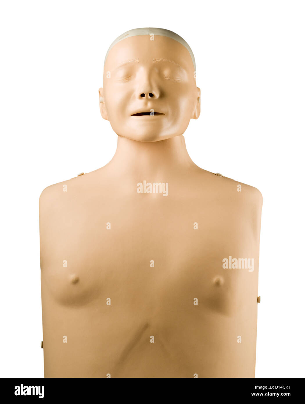 Training Dummy Medical High Resolution Stock Photography and Images Alamy