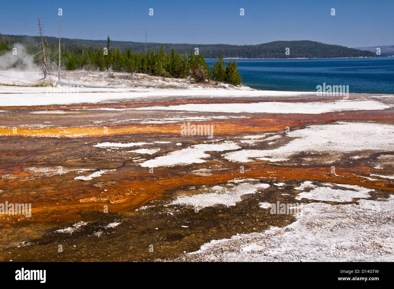 Hot spring with the lake in background - West thumb geyser basin, Yellowstone Lake, Yellowstone national Park - Wyoming, USA Stock Photo