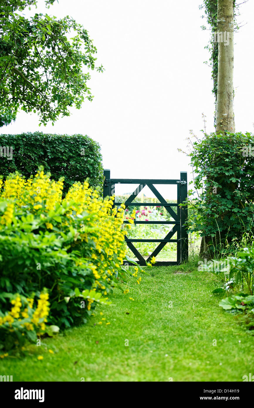 Wooden gate in backyard Stock Photo