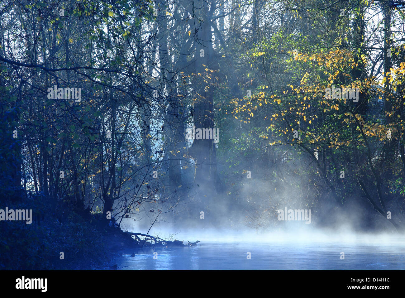 River Mole near Box Hill and Dorking, Surrey, England Stock Photo