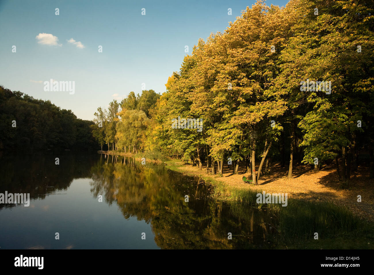 Autumn landscape with lake in the forest Stock Photo - Alamy