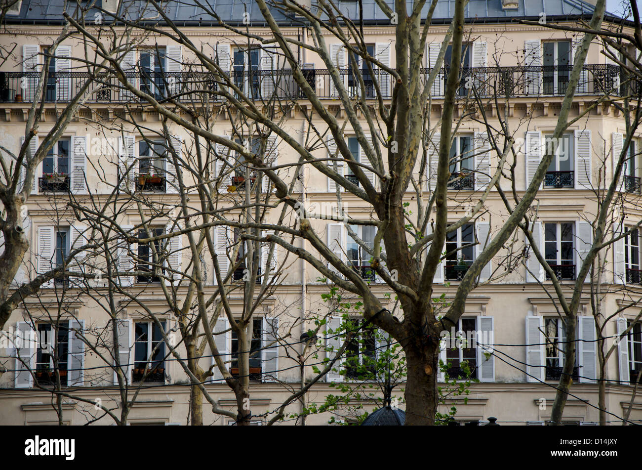 Facade of a Parisian building behind trees, Paris, France. Stock Photo