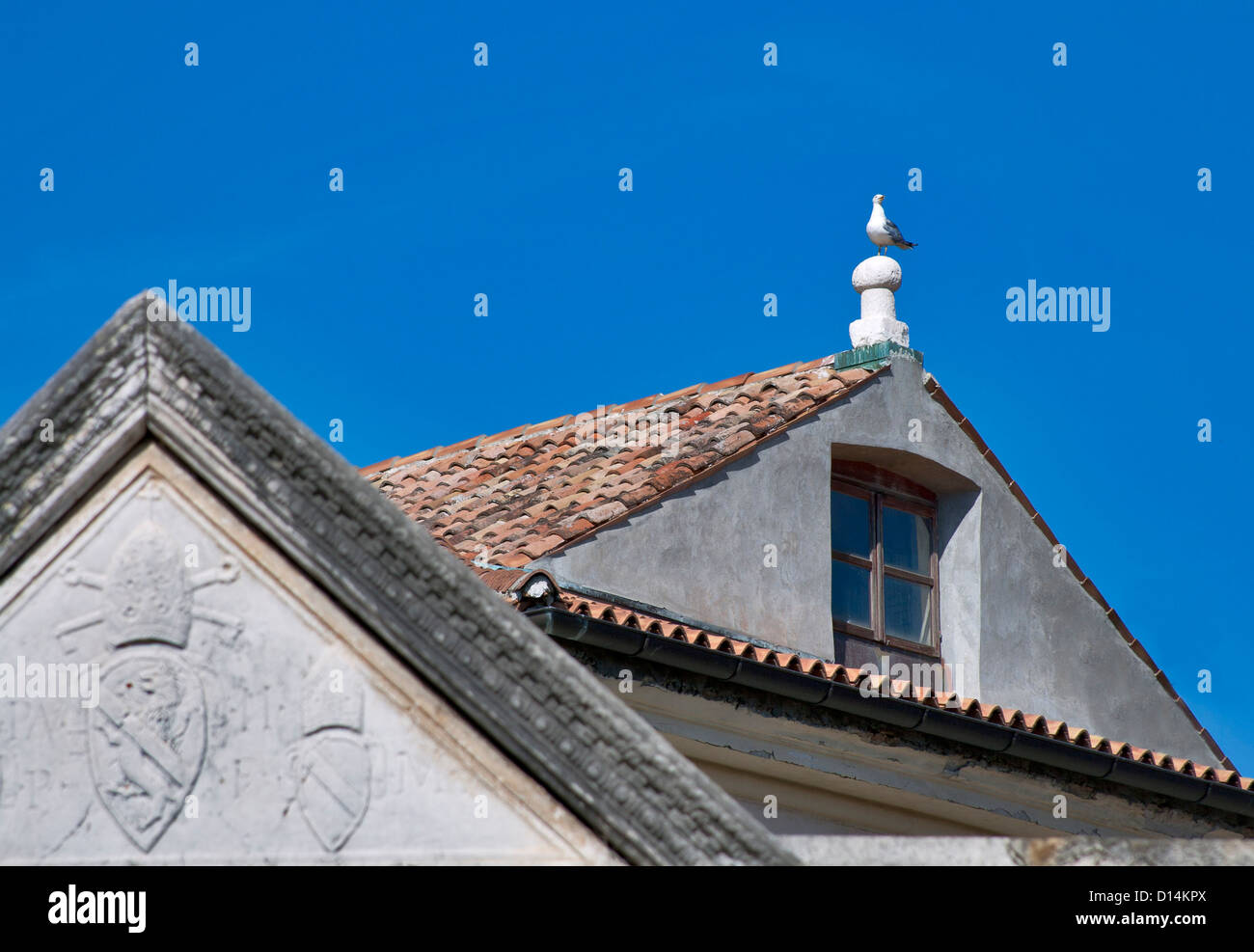 Ancient tiled roofs and seagull. Lisbon, Portugal. Stock Photo