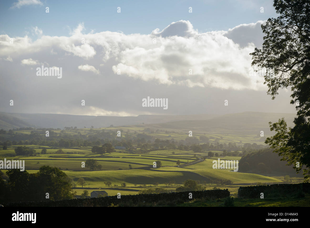Aerial view of rural landscape Stock Photo