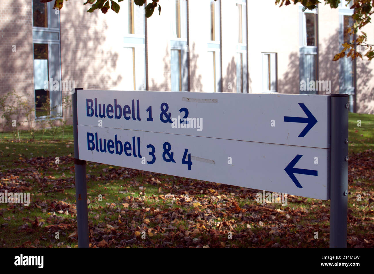 Bluebell halls of residence sign, University of Warwick, UK Stock Photo